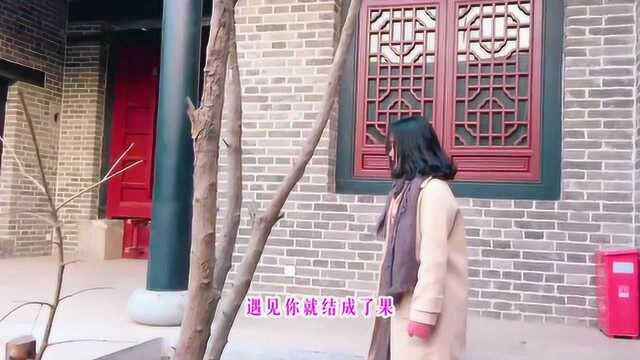 真心推荐《最美的情歌》歌声美妙动听,歌声悦耳动人