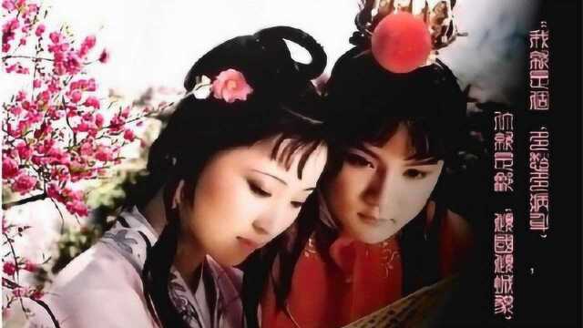 红楼梦:宝玉作芙蓉女儿诔,仅为表达感情?看曹雪芹的真实用意