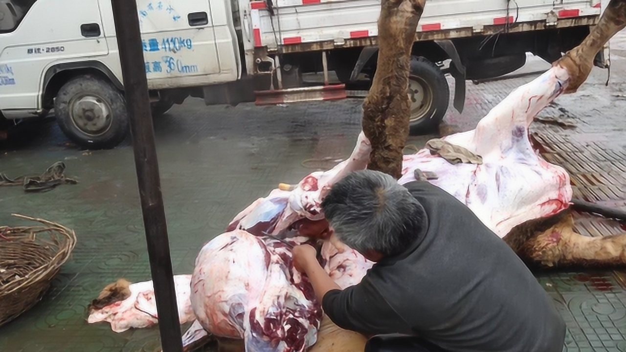 看看杀牛师傅咋说的