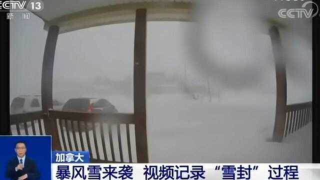 加拿大 暴风雪来袭 视频记录“雪封”过程