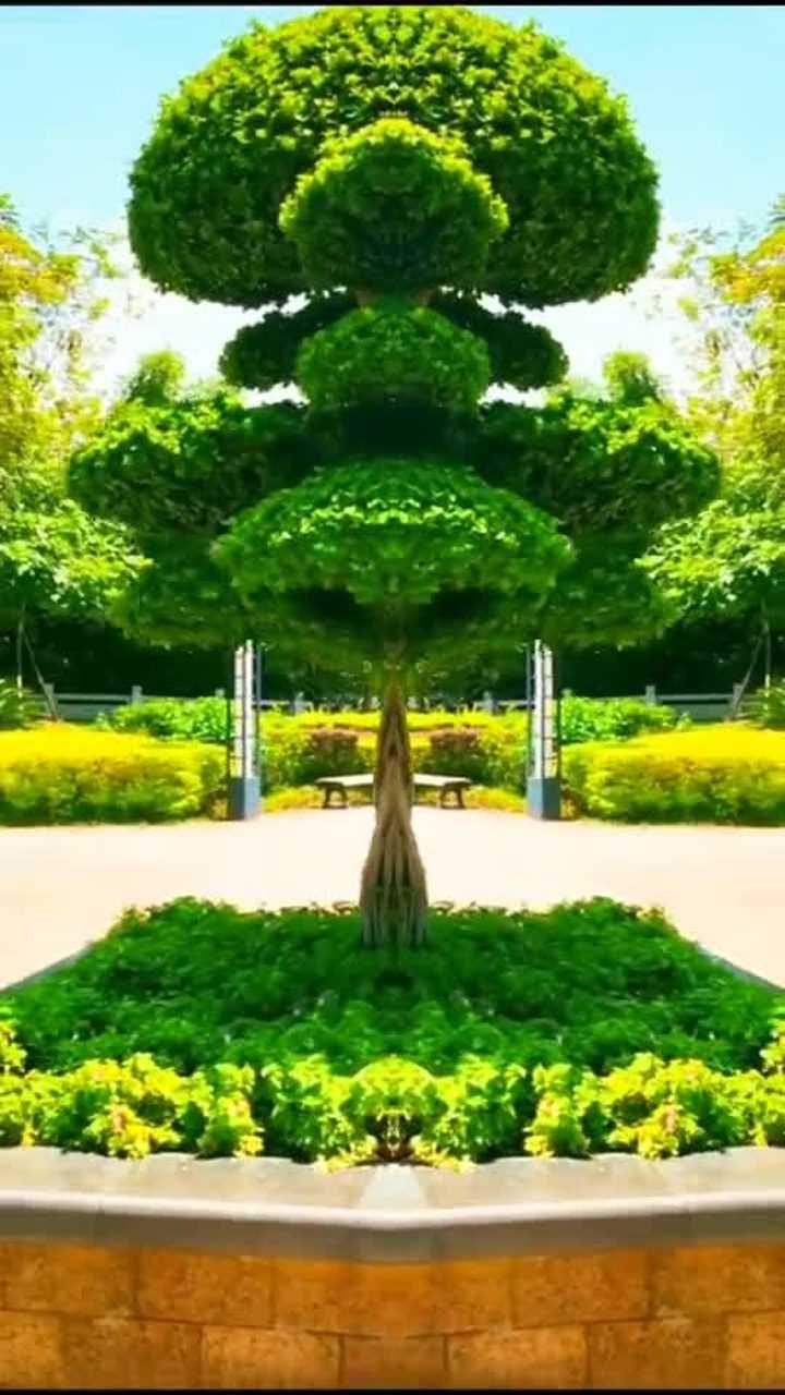 恭喜发财,财旺人旺事业旺!