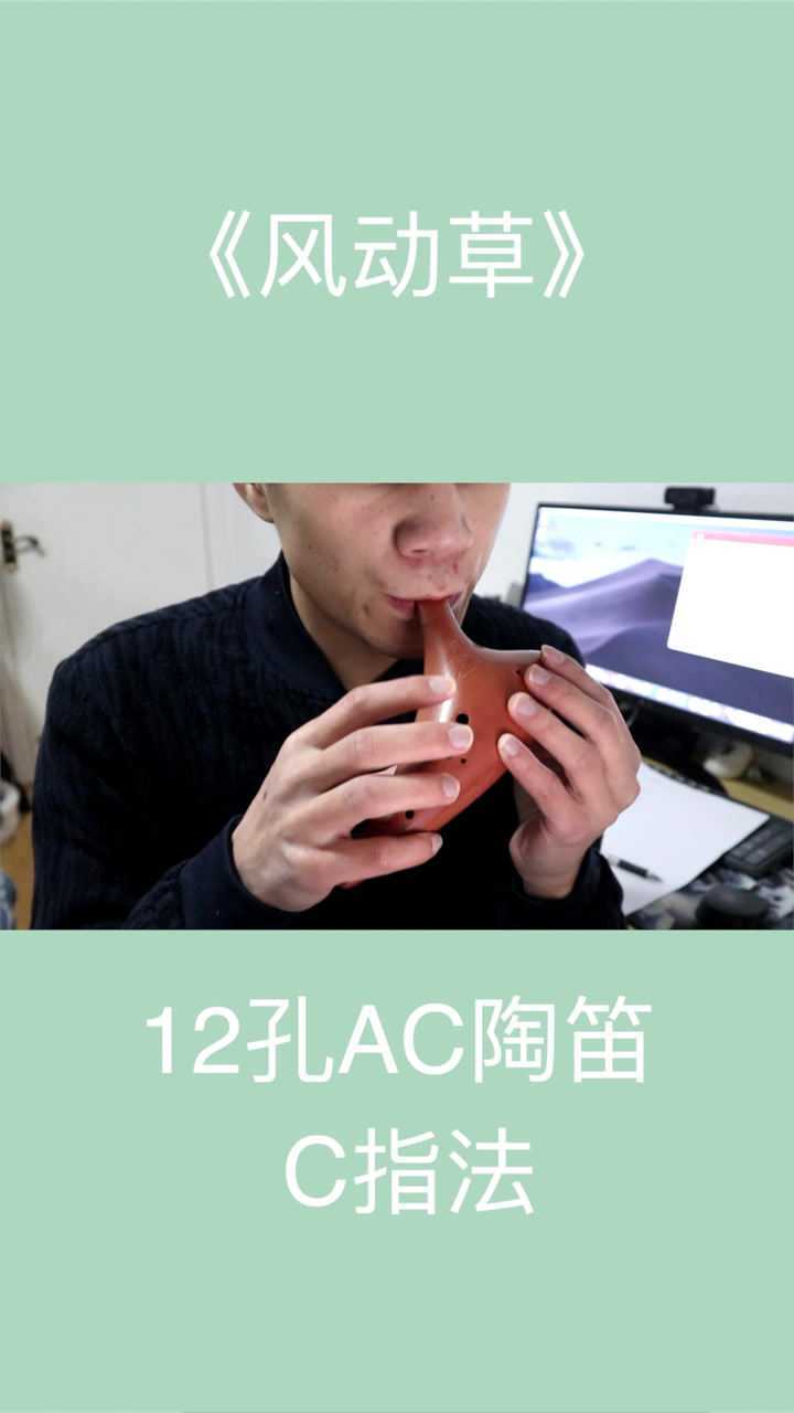 陶笛《风动草》