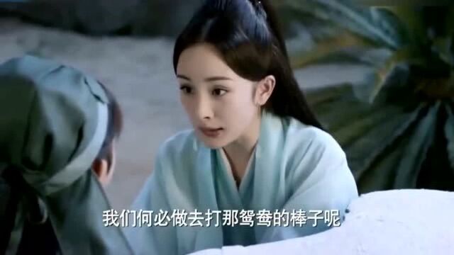 三生三世他是剧中人人喜爱的灵童,小小年纪演技却这么好