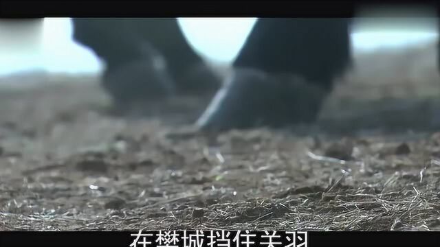 三国中关羽打个樊城,降个于禁,杀个庞德为何就能威震华夏?