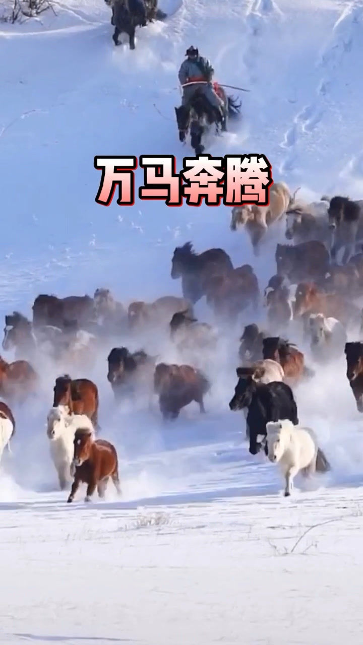 大场面万马奔腾