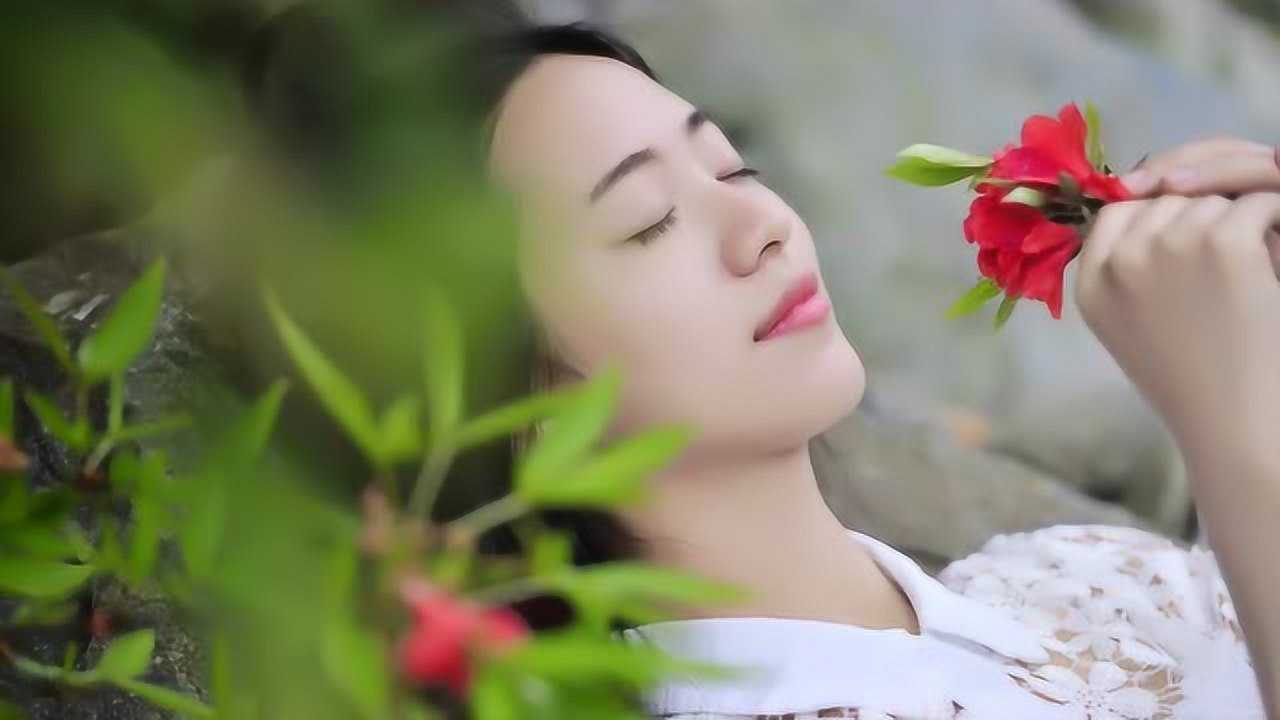 上门龙婿叶辰完结版电视连续剧23全集,上门龙婿免费看正版大结局