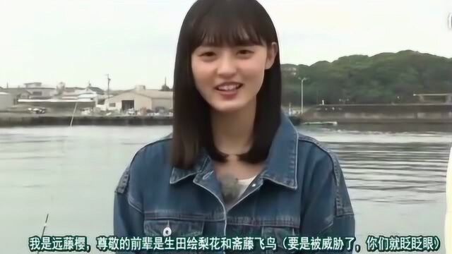 乃木坂46综艺,小鸟好可爱啊