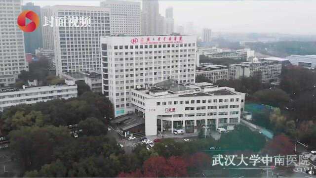 防疫版《我的未来式》 电子科大学生歌曲填词“声”援武汉