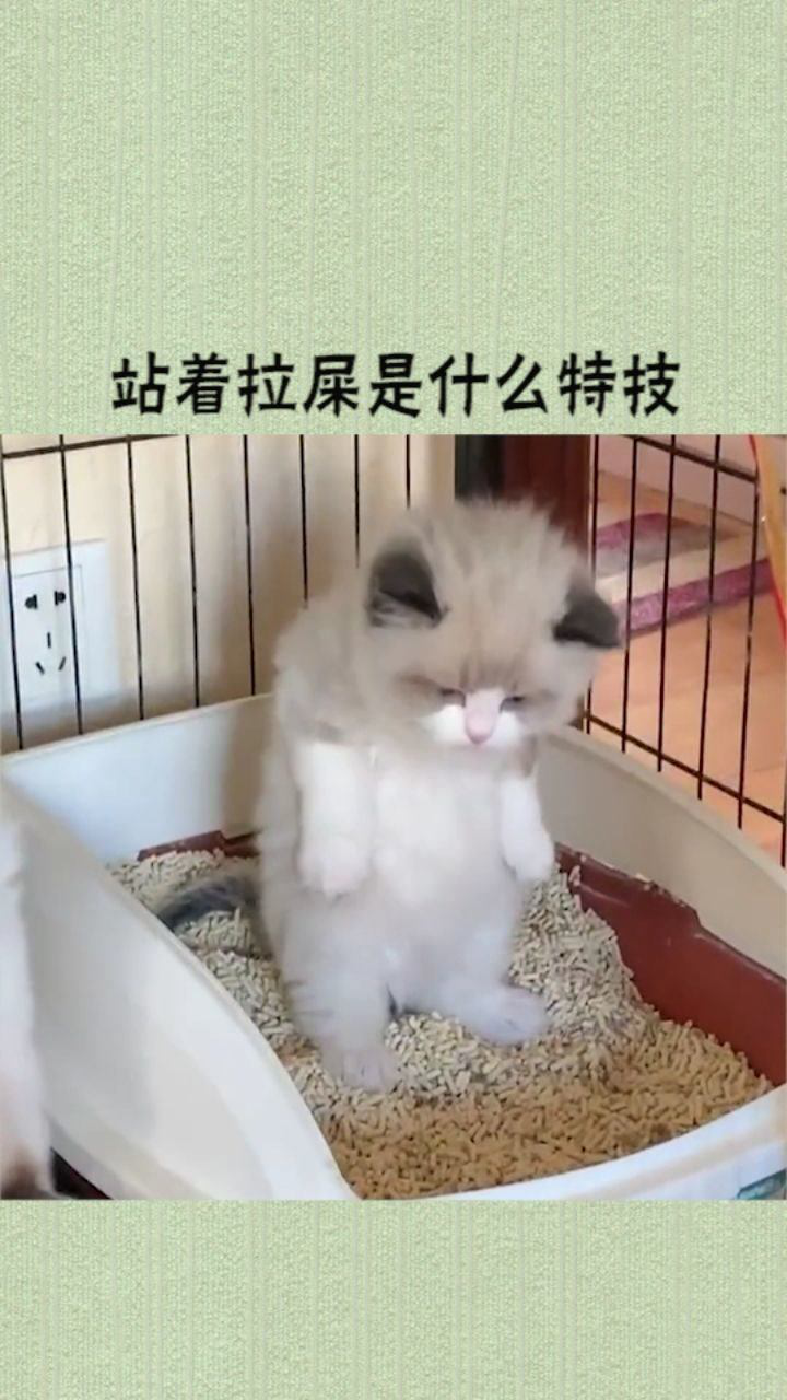 站着拉屎是什么特技?