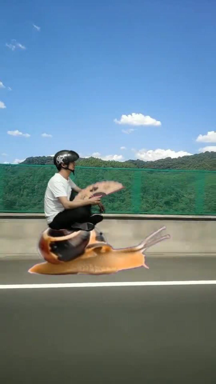 骑着蜗牛上高速公路