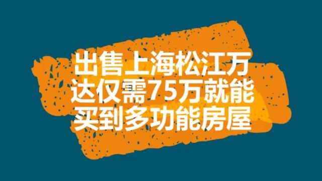 出售推荐:仅需75万就能买到上海松江万达多功能房屋