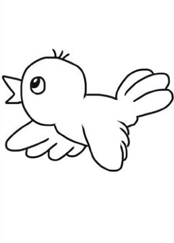 可爱的小鸟儿童简笔画