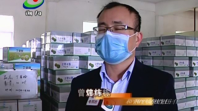 3区供销合作联社做好药肥储备供应助力农业复耕复产