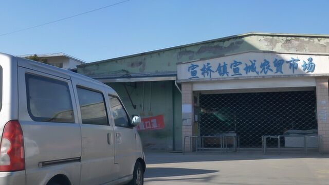 在上海,浦东宣桥镇,复工第二周,街上店铺基本都关门着