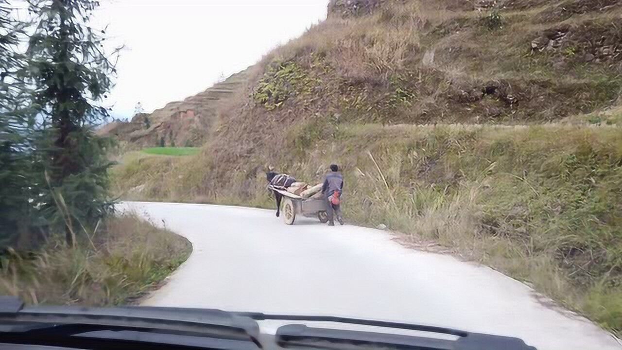 开车在贵州农村山路,弯弯曲曲,赛车手都不敢开到60码