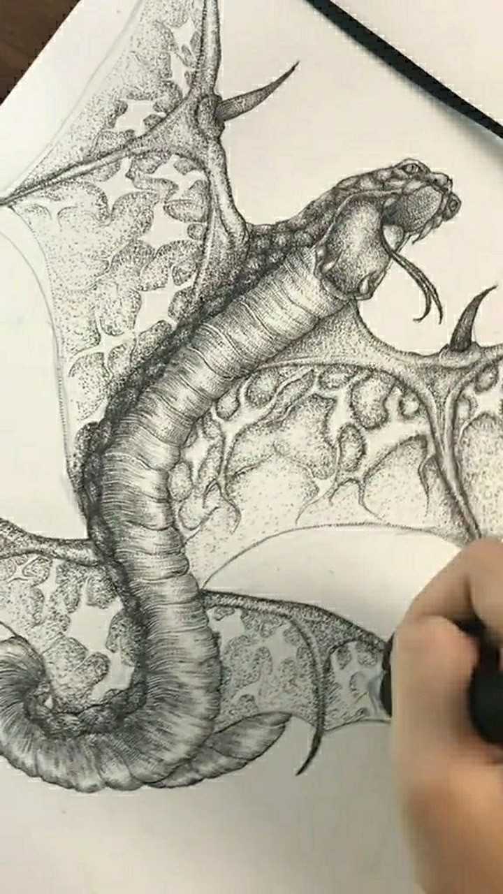 今天画的山海经异兽叫鸣蛇,跟一般蛇差不多但是多长了两双翅膀