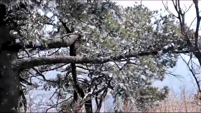 美丽老君山雪日风景