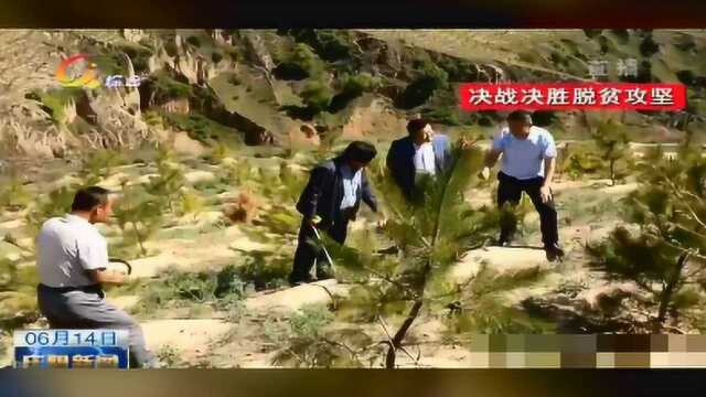 《决战决胜脱贫攻坚》天津北辰区2.2万亩生态林建设项目助力华池精准脱贫