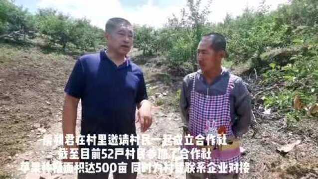 走向我们的小康生活|柳河县四清村:从“荒山村”到小康村