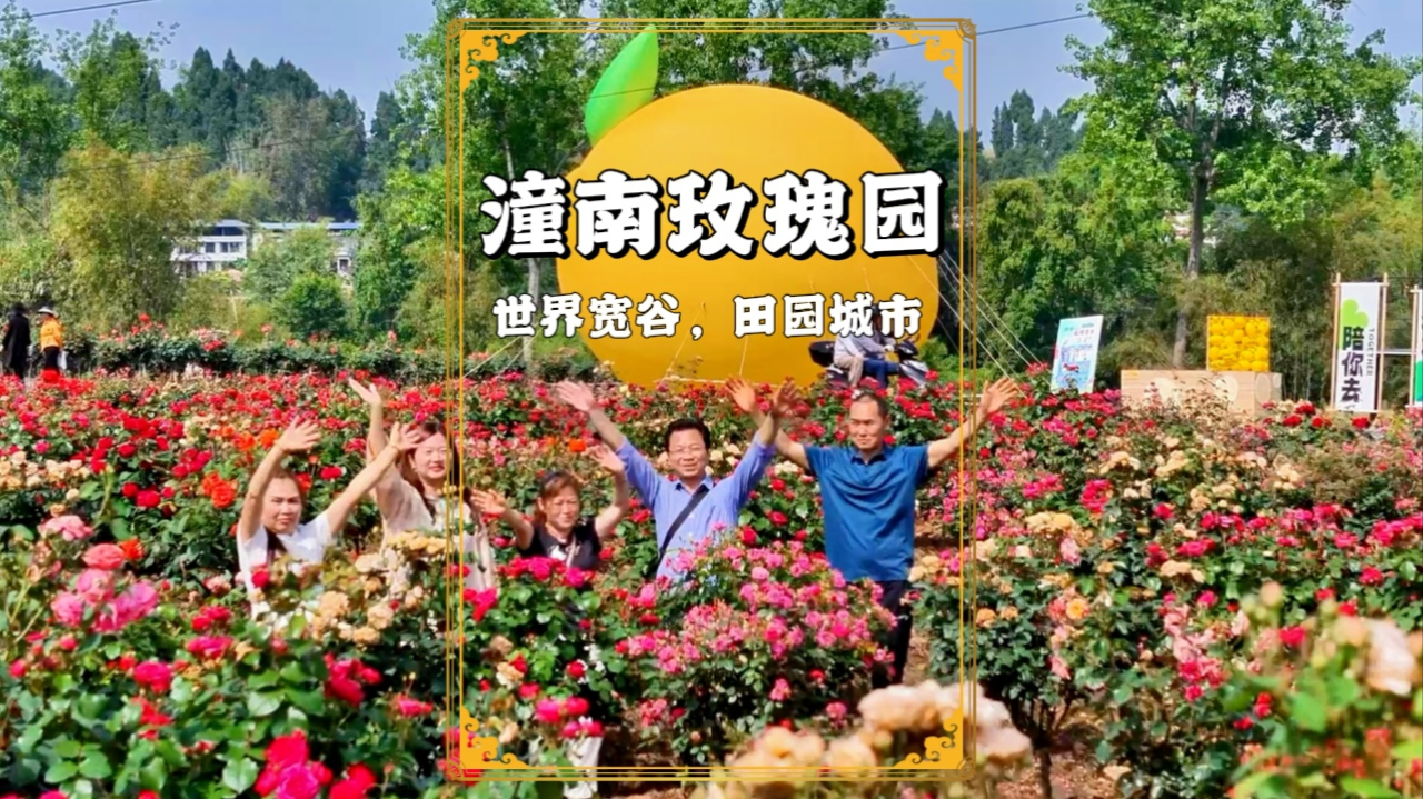 五一赏花好去处,重庆潼南玫瑰园,花开正艳,免费开放,等你来赏