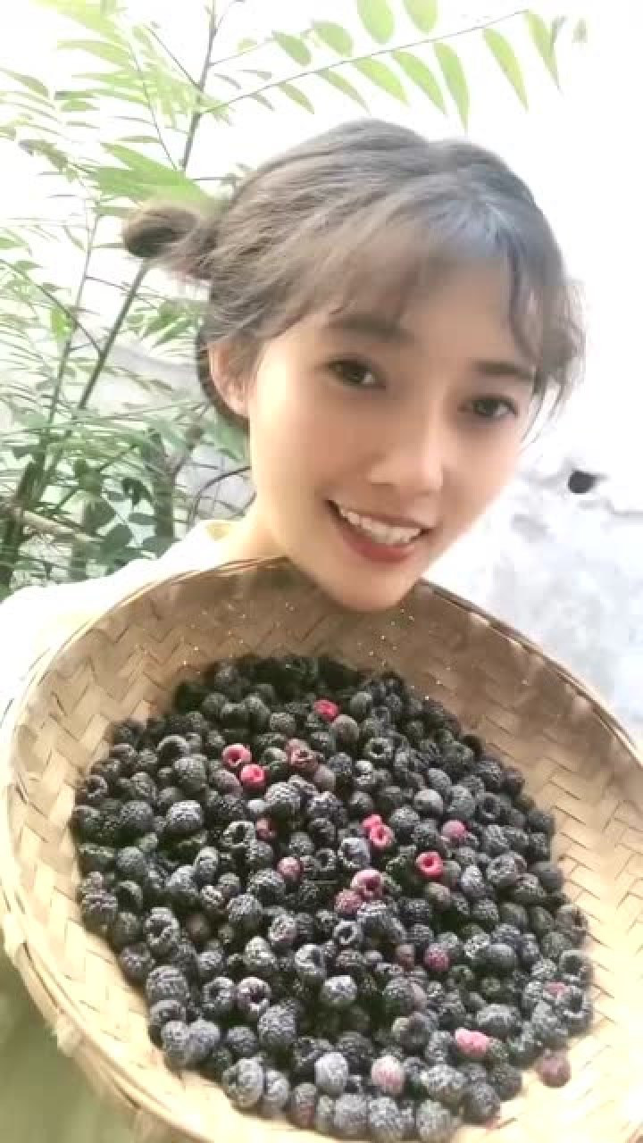 贵州农村才有的狗屎泡儿能当水果还是稀有药材美女可捡着大便宜了