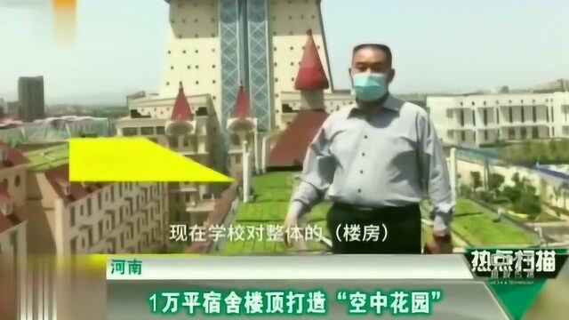 河南建造校园版“空中花园”,厉害了!我的学校