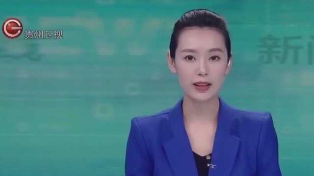 晴隆:特色产业提效益,激活致富新引擎