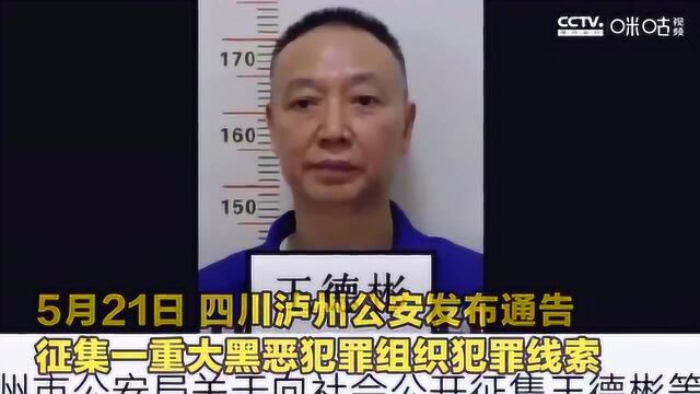 四川公安端掉重大黑恶犯罪组织,为首者系原四川王氏集团董事长!