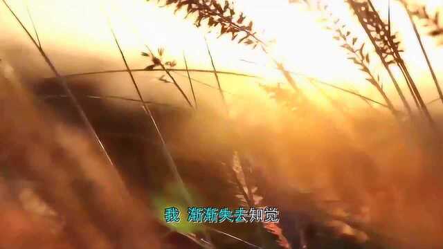 飞飞:超好听歌曲《王力宏  需要人陪》,你值得一听