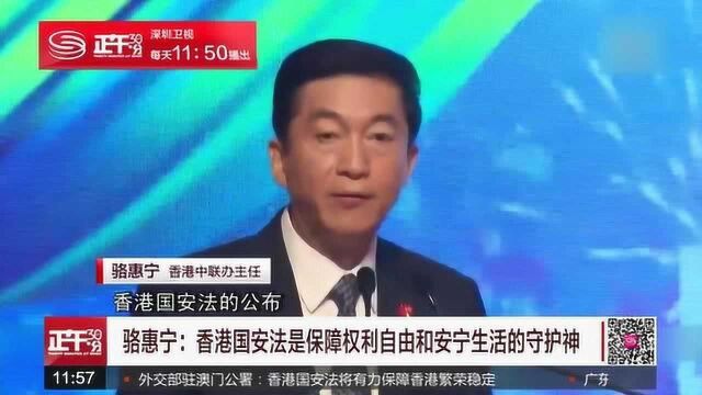 骆惠宁:香港国安法是保障权利自由和安宁生活的守护神