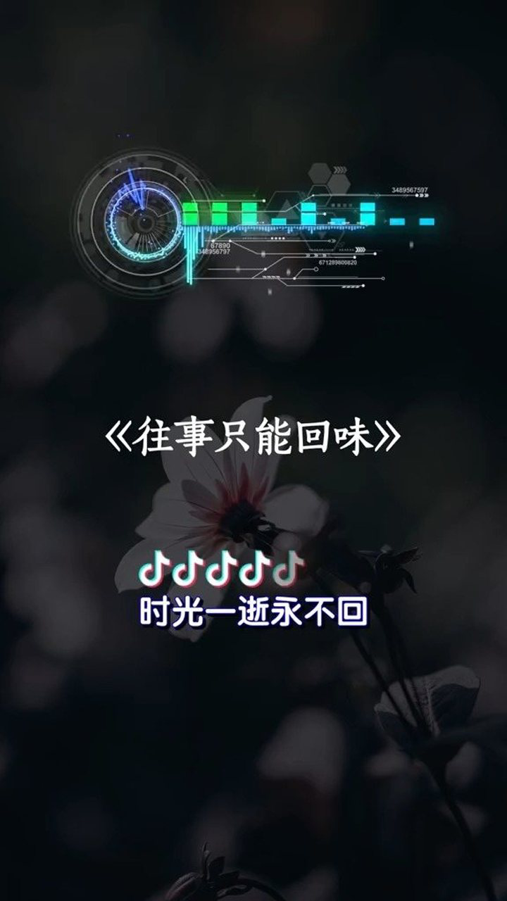 人生如梦,岁月如歌,往事只能回味!