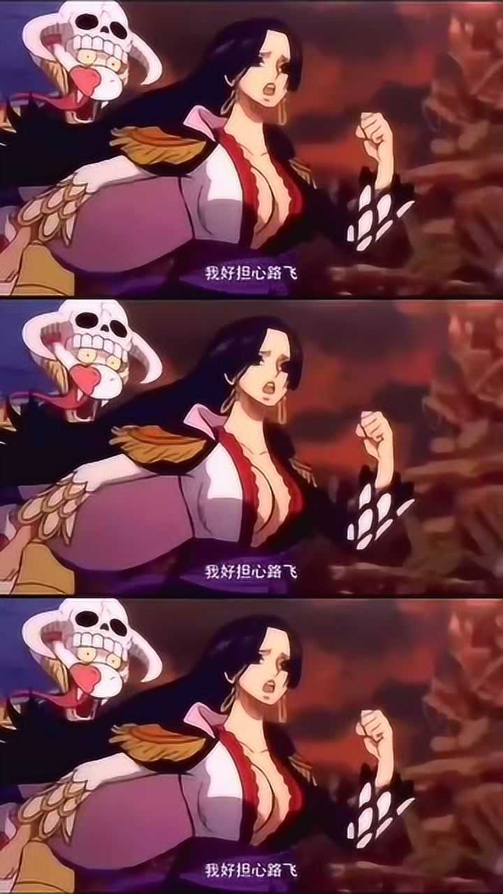 女帝寻找路飞巴基被踢了多少脚