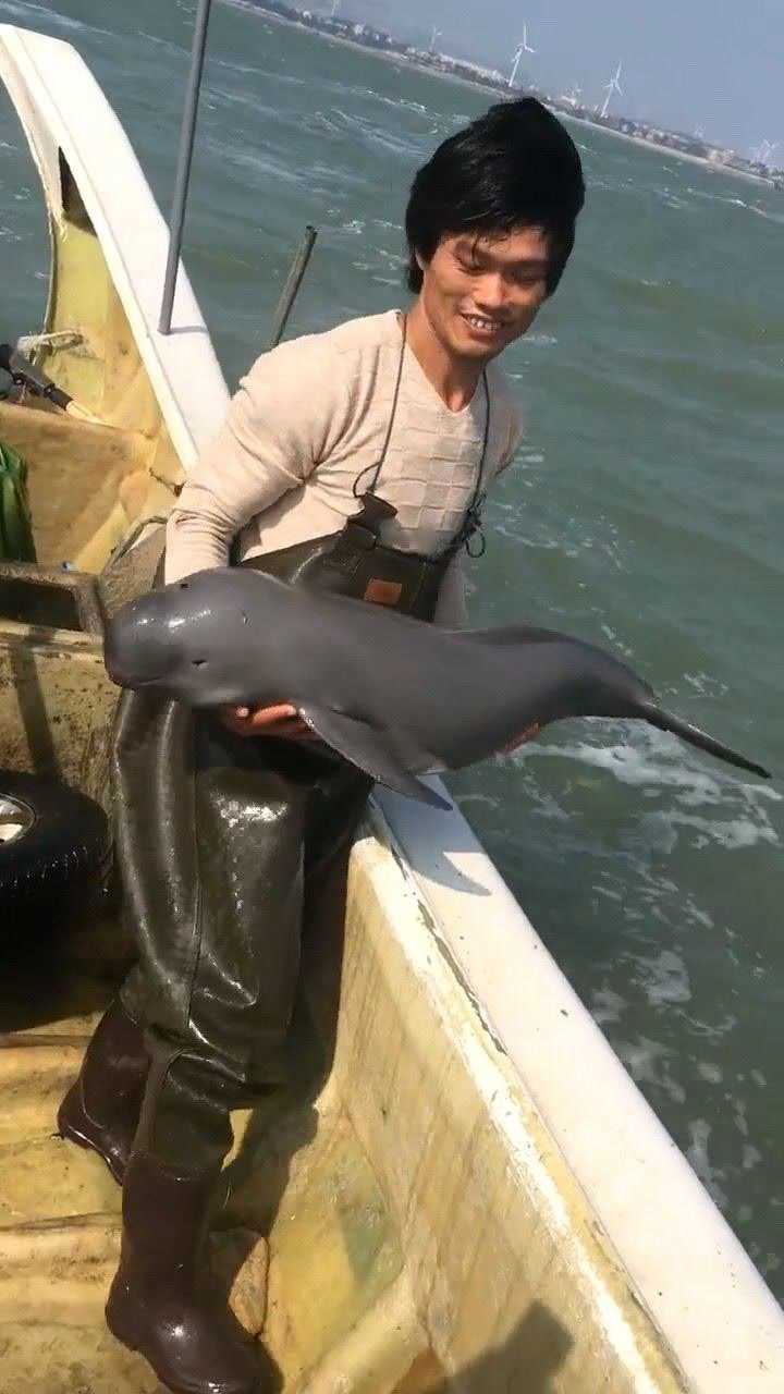 小伙捕到江豚将它放生