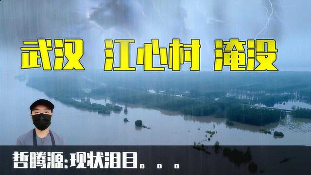 长江中竟有个澳门大小的乡村,武汉无奈引洪淹没,航拍现状让人泪目