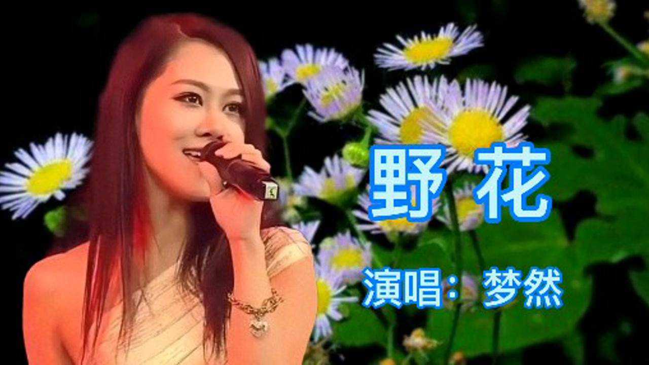 梦然野花原唱歌声婉转动听