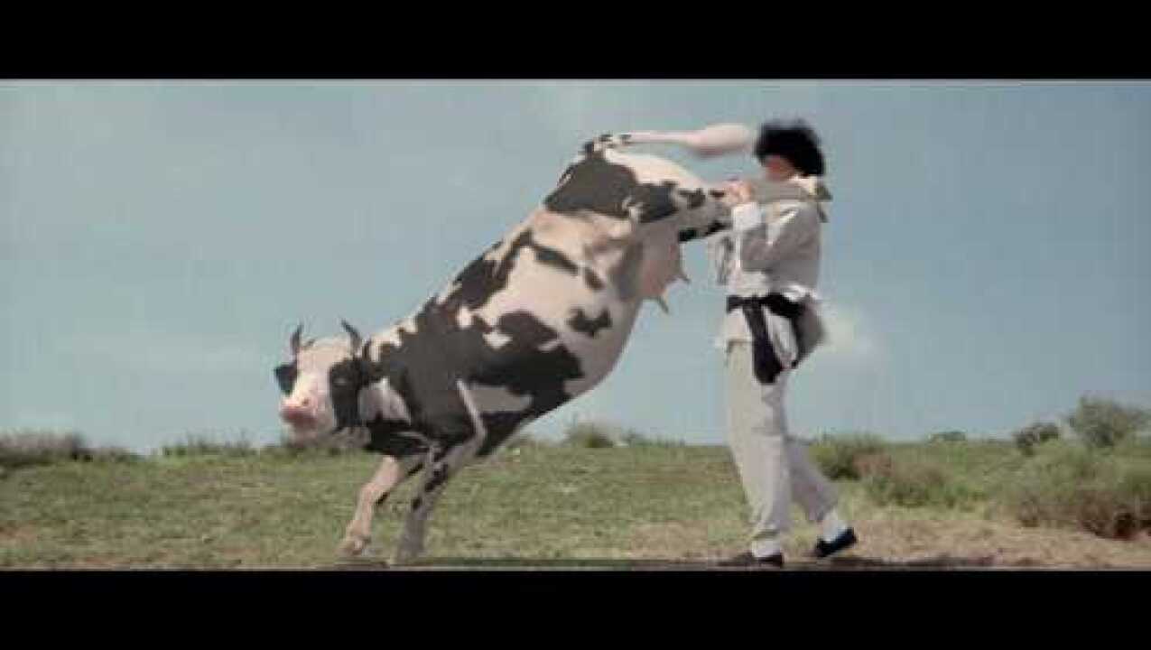 老电影新乐趣昆宝出拳搞笑片段欢乐大放送奶牛也会功夫