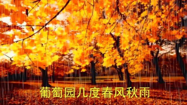 小时候最喜欢听的歌曲《吐鲁番的葡萄熟了》演唱 关牧村