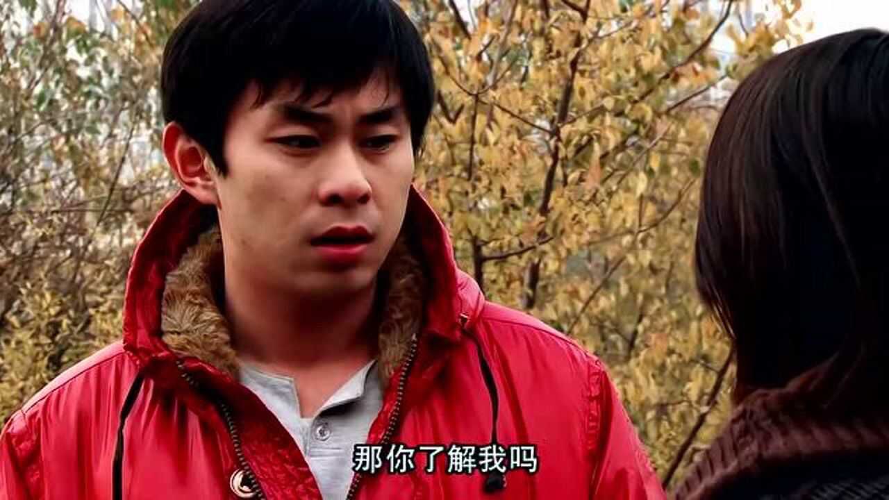 毛骗第一季赵宁得知害父亲的不是陈楠霸气回归准备复仇