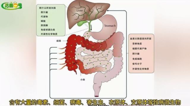 活菌一号再贵,结肠炎也拖不得,“四大危害”你中招了几个?