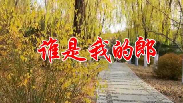 杨梓文祺一首《谁是我的郎》清脆甜美,经典悦耳,令人久久陶醉!