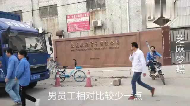 东莞这个电子厂女多男少,很多打工族在这里上班,他们都非常开心