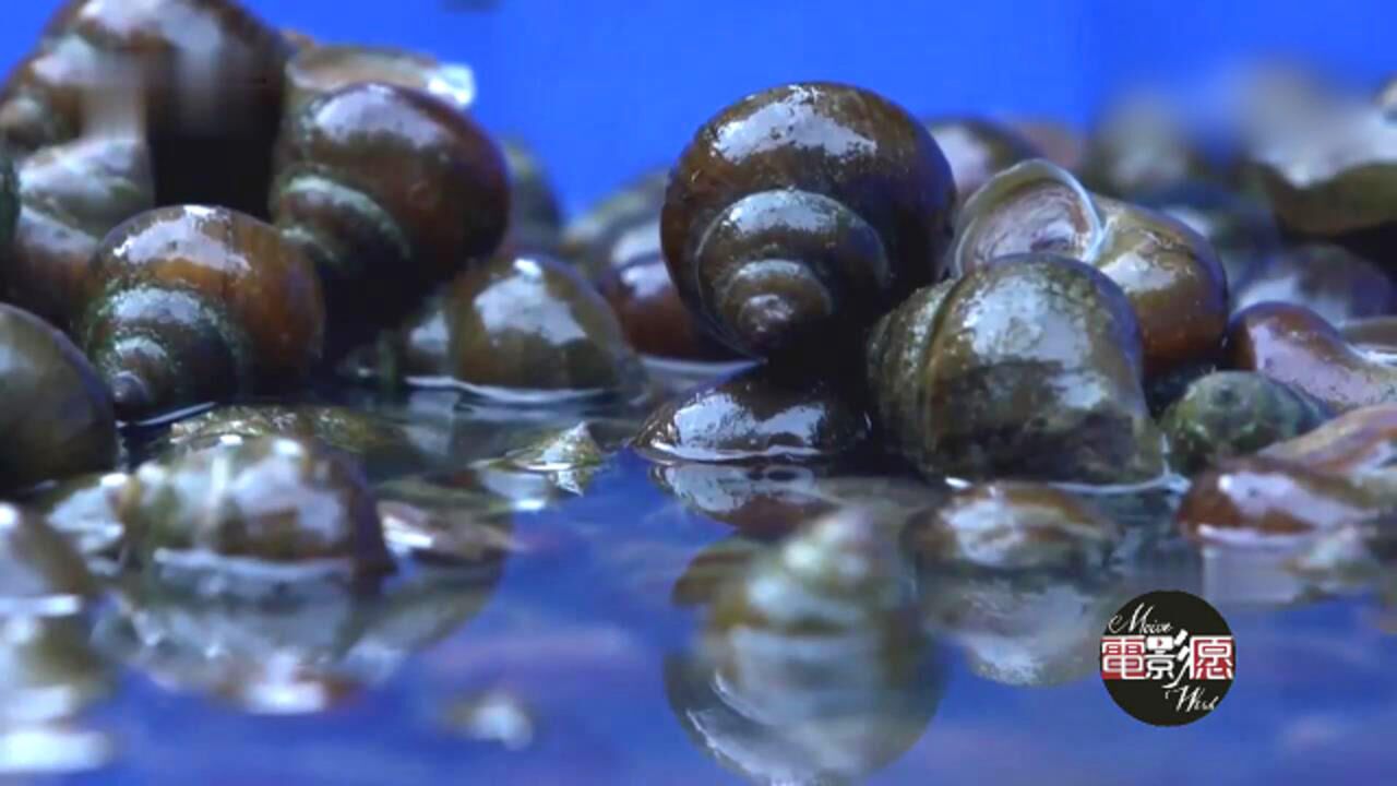 白天忙摸螺 晚上嗍螺忙 体味一场爽辣鲜香的宵夜交响曲