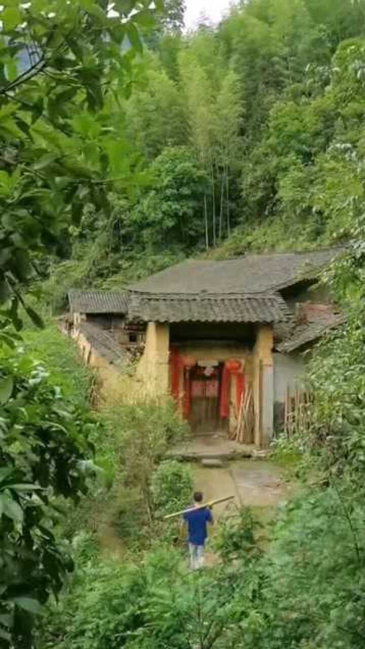 深山老林有人家景色宜人是个独居的好去处