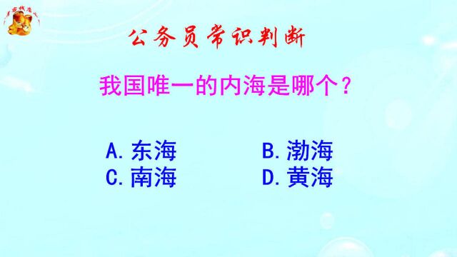 公务员常识判断,我国唯一的内海是哪个?这是一道送分题