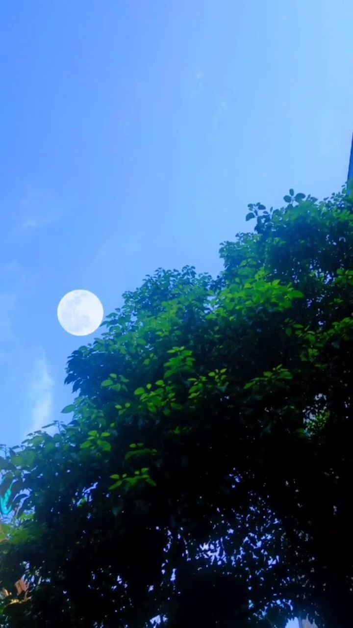 月明星稀,寂静的夜晚,你想起了什么