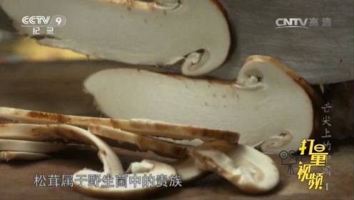 单珍卓玛山地采挖松茸的故事|舌尖上的中国