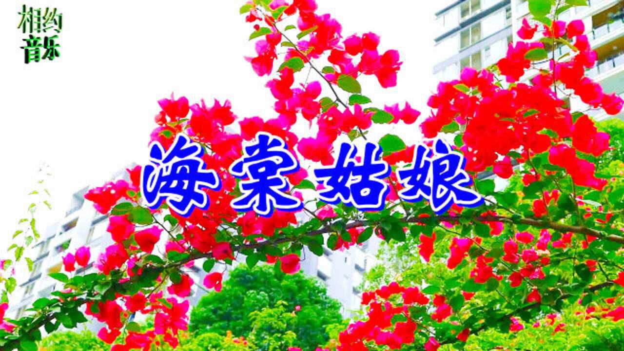 林玉英一首《海棠姑娘》经典好歌,不是一般的好听!听着让人心情舒畅!