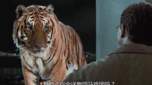 医生能够和动物说话，消息在动物界传开后，老虎都来找他看病