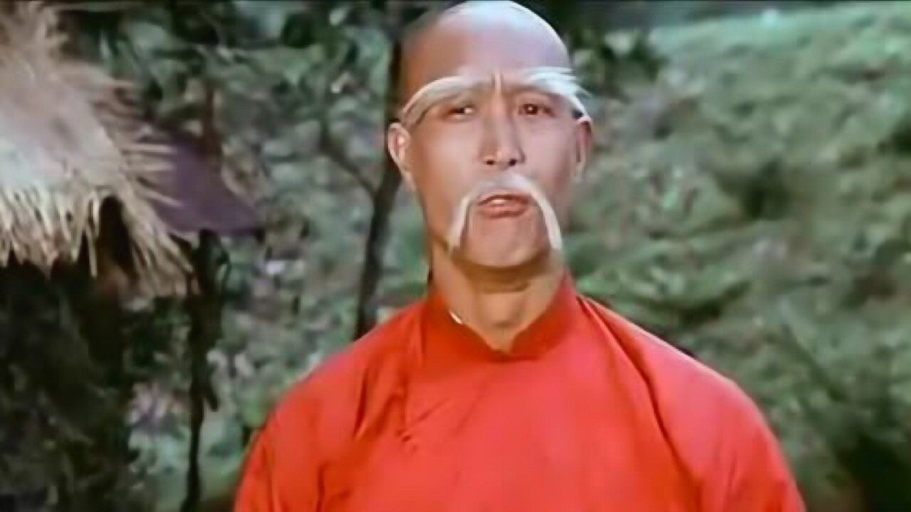 台湾经典武打功夫片怪招软皮蛇主演袁小田李海生陈龙