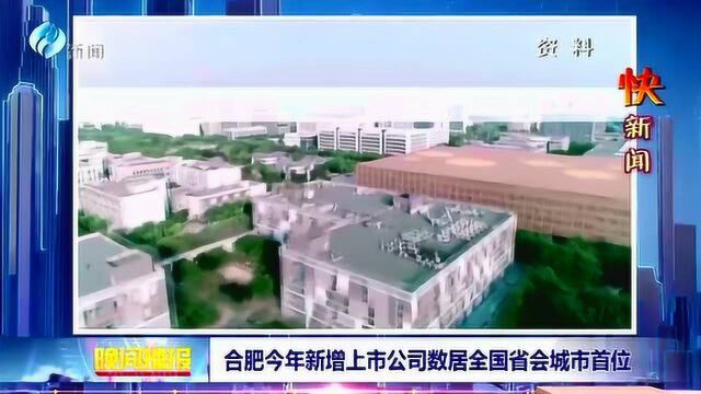 合肥今年新增上市公司数据居全国省会城市首位